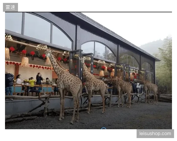 德清长颈鹿庄园通过并入青少年户外教育系统，拓展了极限运动公园的消费客群边界